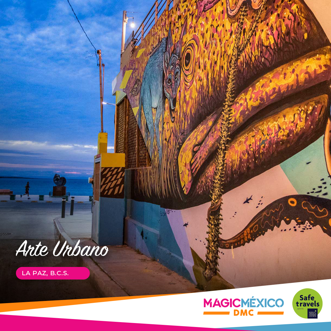 MagicMexicoDMC's tweet photo. El arte urbano en La Paz cuenta historias, mitos y leyendas donde la naturaleza es la principal protagonista 🎨🐳🐚

¿Cuál es tu mural favorito?🖼📍

📲Sigue nuestras redes sociales: @magicmexicodmc 

#tours #bajasur #arte #urbano #ViveloConMagicMéxicoDMC 
#bcs #lapaz https://t.co/UuSw8zlSoa