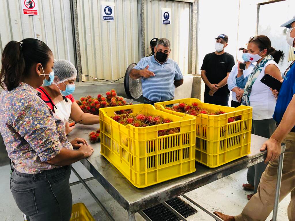 CanEmbCRHNNI's tweet photo. The Head of Office &amp; Cooperation for 🇨🇦 in 🇭🇳, @jdelimabaril , visited the Atlántida and Santa Barbara regions to see the results of the #CAHOVA project implemented by @SOCODEVI, which seeks to improve the production and marketing capacity of companies led by youth and women. https://t.co/nocfg51gYt