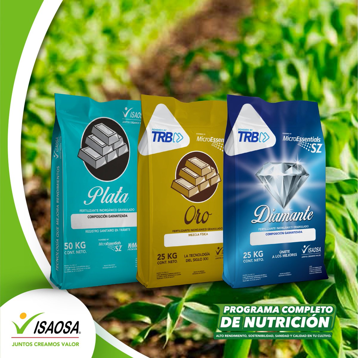 Con nuestra Mezcla ORO, PLATA o DIAMANTE, creadas específicamente para ti y las necesidades de tus cultivos, podrás incrementar con seguridad la absorción de nutrientes del suelo, logrando una mayor producción por hectárea. Conoce más sobre ellas en bit.ly/2y0pNj2