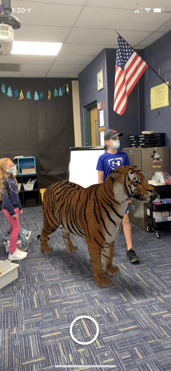 MrsPeetsTweets's tweet photo. Exploring what it would be like to stand up close with a tiger today! Great discussion during our read aloud of Tiger Rising today! #heritagelearn #sascompass https://t.co/o9Q9ZzPV25