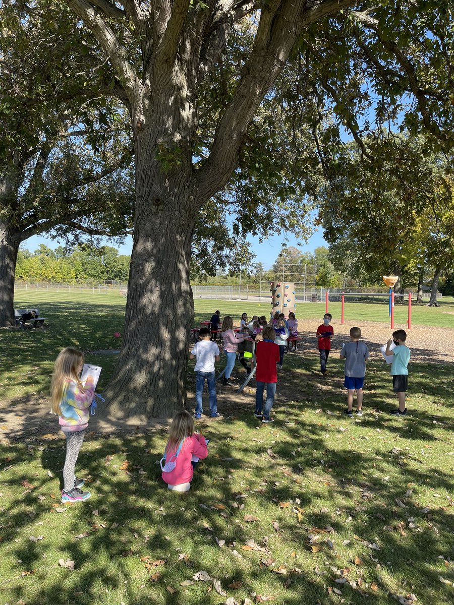 Lingaurslcs's tweet photo. Today in science we chose and observed a tree.  We will be observing this same tree over time to see how it changes. We recorded our observations  in our science notebook. https://t.co/EGyrJOyGEY