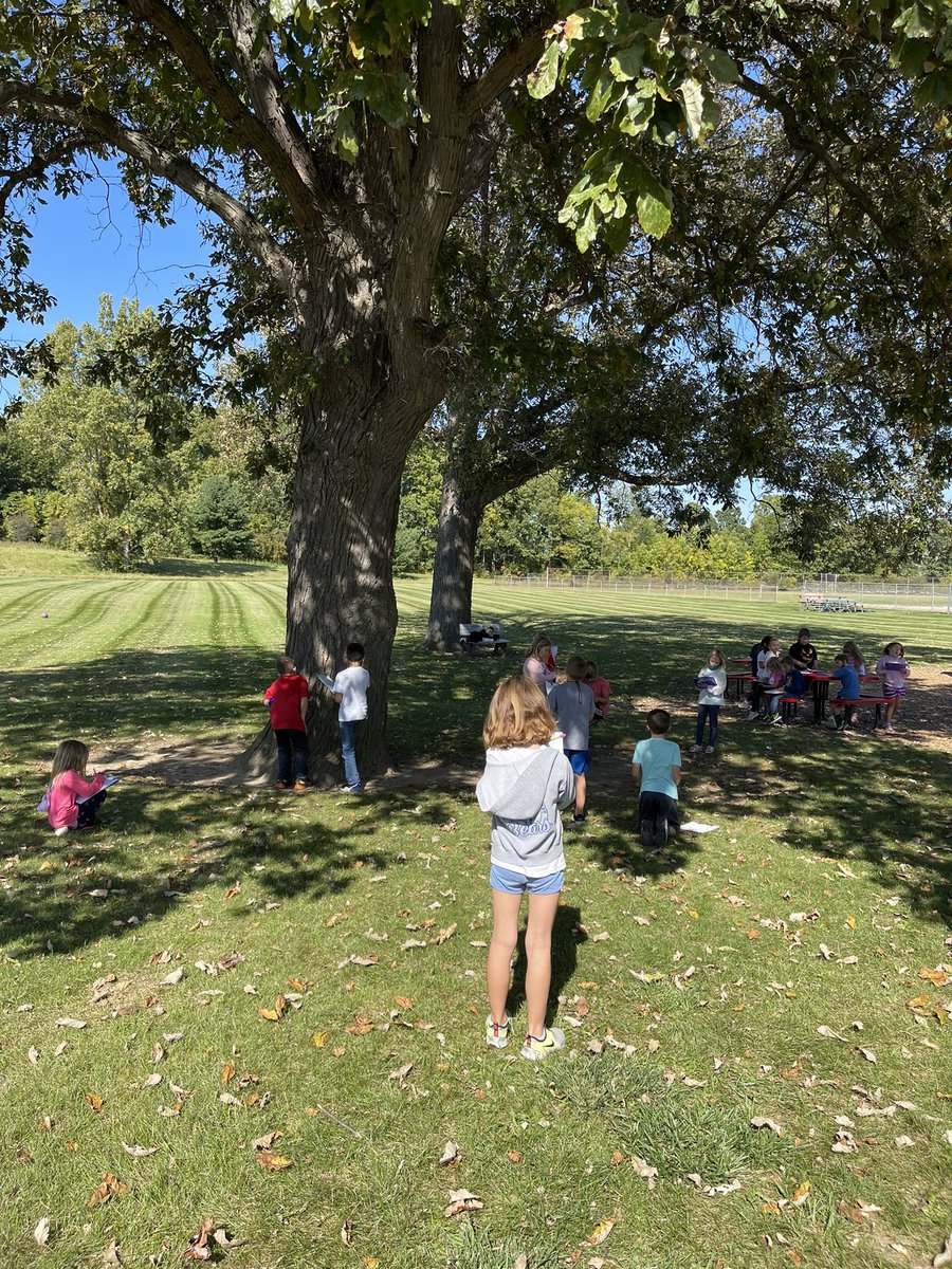 Today in science we chose and observed a tree.  We will be observing this same tree over time to see how it changes. We recorded our observations  in our science notebook.