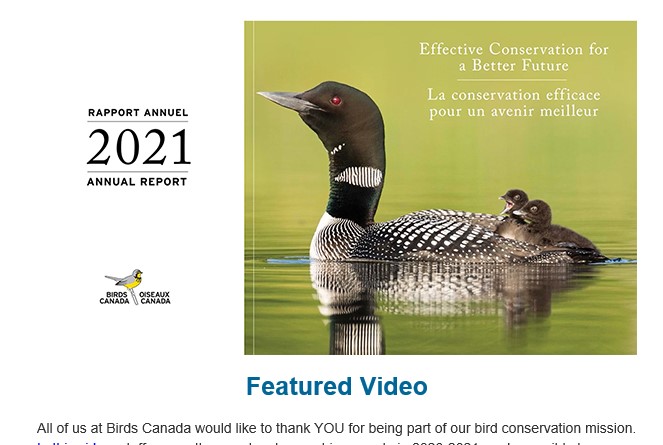 BirdsCanada_ON's tweet image. Featured Video
All of us at @BirdsCanada would like to thank YOU for being part of our bird conservation mission. In this video, staff across the country share achievements in 2020-2021 made possible by your support and involvement. Enjoy: youtube.com/watch?v=GMnHPr…