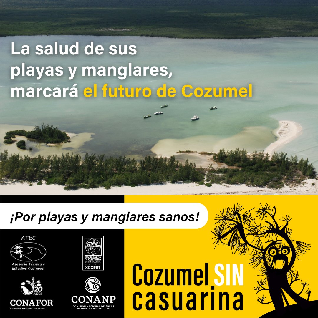 Existe una marcada conectividad y dependencia entre las dunas costeras, los manglares, y tú. Recuerda que todo está relacionado. Firma para apoyar la restauración de dunas y manglares.  acortar.link/nlVnMO

@atecscp @conanp_czm @Conafor @AtlantisSubmarines @FCCozumel