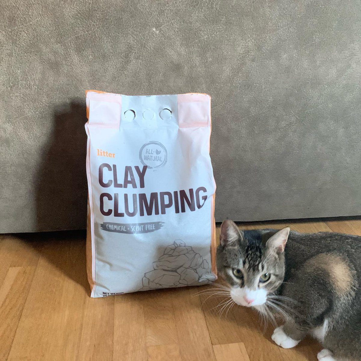 litterboxbrand's tweet image. A #PetHack that will change your life: subscribe to get cat litter delivered to your front door. 🚪😻✨ No more running to the store last second!

#Litterbox #Cats #CatsOfTwitter