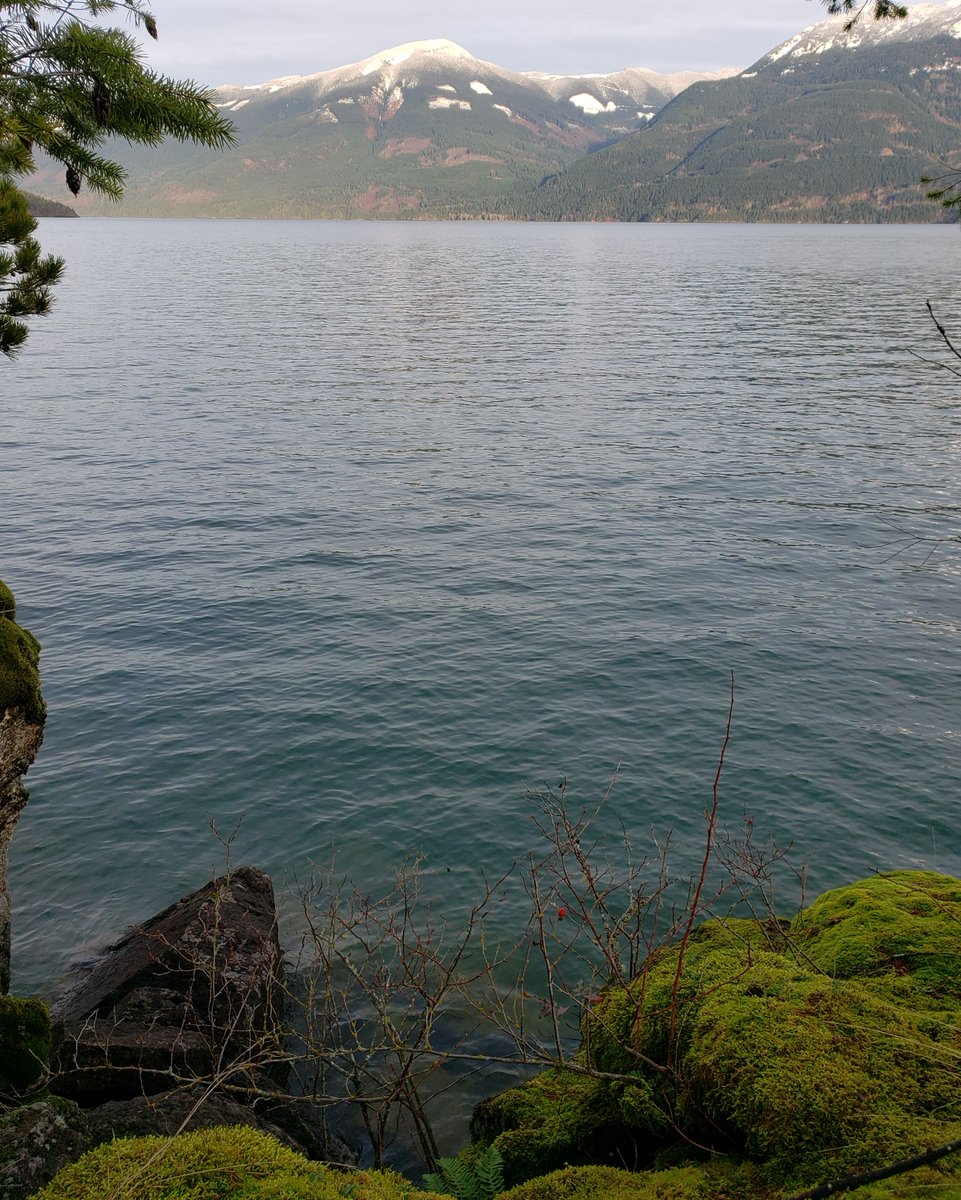 Modularacks's tweet photo. We love a good spot by the water to unwind and dip our feet into. 
What are your favourite Lakeside spots?
-
 #lakeside #bythewater #waterscape #lake #adventure #unwind #beautifulbc #nature #hiking #modularacks #mountains #biking #trails #camping #naturewalk https://t.co/U77aYu182y