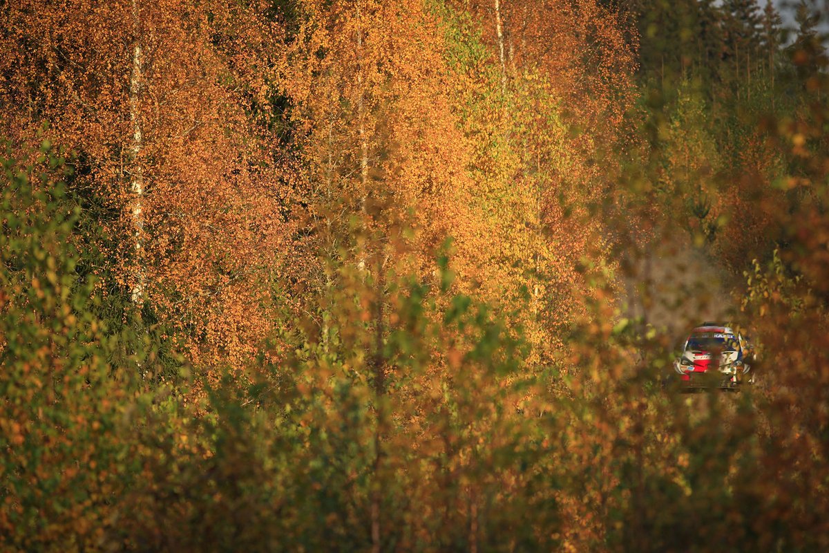 colmcklein's tweet photo. This is my 25th @OfficialWRC @RallyFinland, possibly my favourite of the lot. The first one in true Autumn conditions. Finland is stunning. https://t.co/BYl0Tz0udG