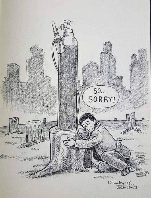 krychacrypto93's tweet image. #TreesForOurPlanet #TreeClub