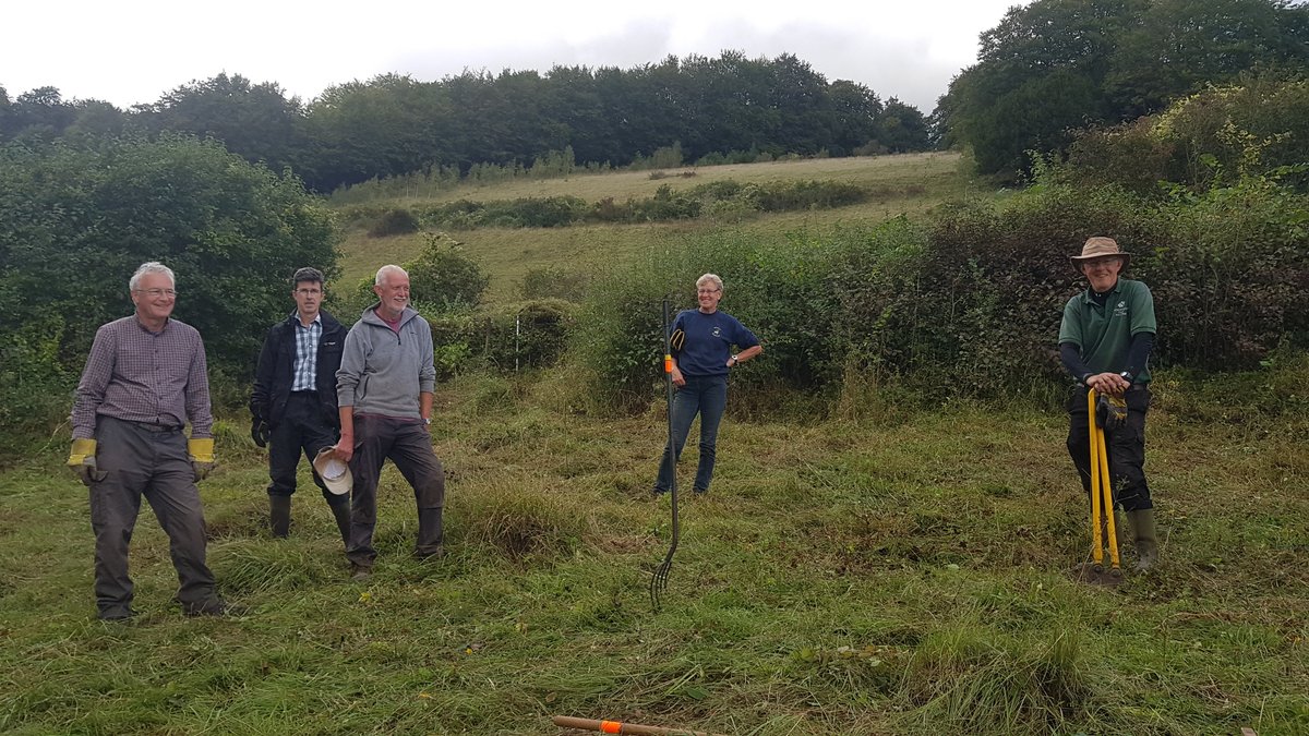 BillDowney8's tweet photo. Great to be back working in the field today with @BC_Surrey Small Blue Conservation Group. After the hiatus of almost a year, have missed the banter and chat. At Denbies Hillside clearing a scallop which is a classic butterfly hotspot. https://t.co/gQ8ucxHMn6