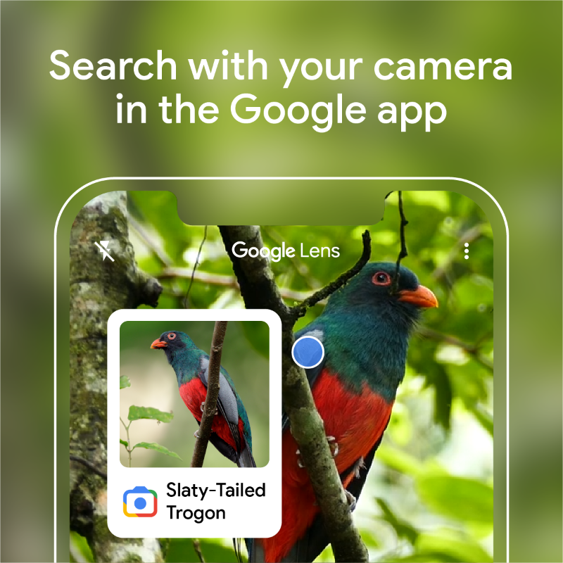 Google's tweet photo. Ever see something and wonder “What is that?” Well… now you can quickly identify things you can’t describe in words using your camera in the Google app.