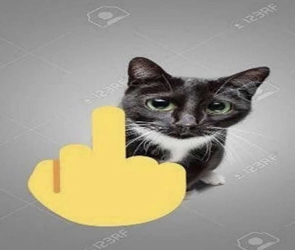 ezfragsdev's tweet photo. @serotoninbuyer I’m Unfollowing U 🖕 https://t.co/kgyuCg0WYc