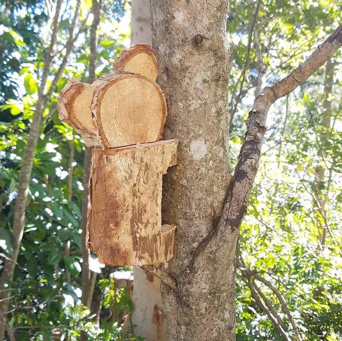 Brisbane, Queensland!
Very clever!