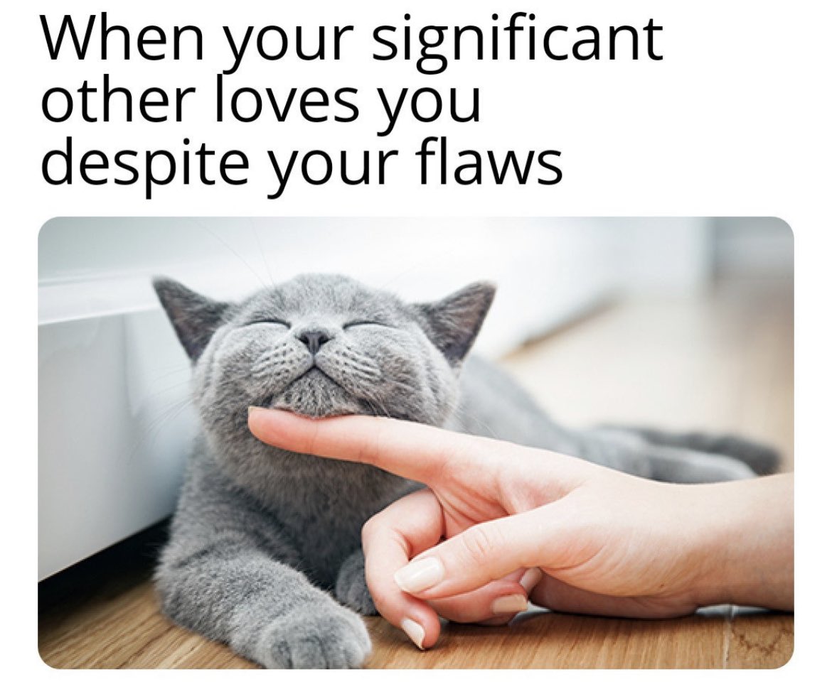 RespectfulMemes's tweet photo. https://t.co/iJ5hzq5jHC