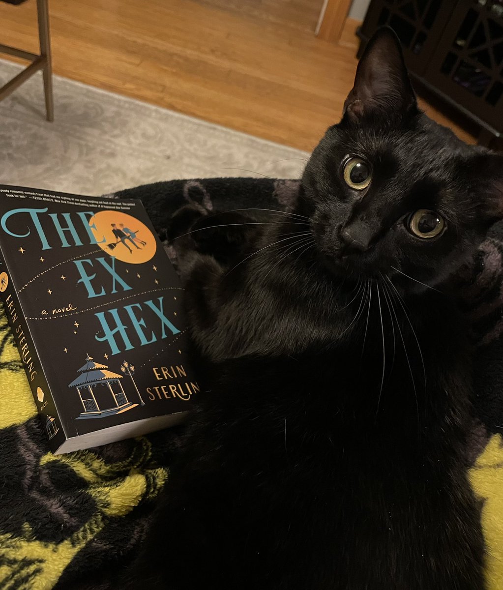 mapinnyc's tweet photo. Loving starting my October with The Ex Hex by @LadyHawkins , and Pan decided he needed to join in once he heard there was another black cat involved… #SpookySeason #TheExHex https://t.co/xJIR3Oqycn