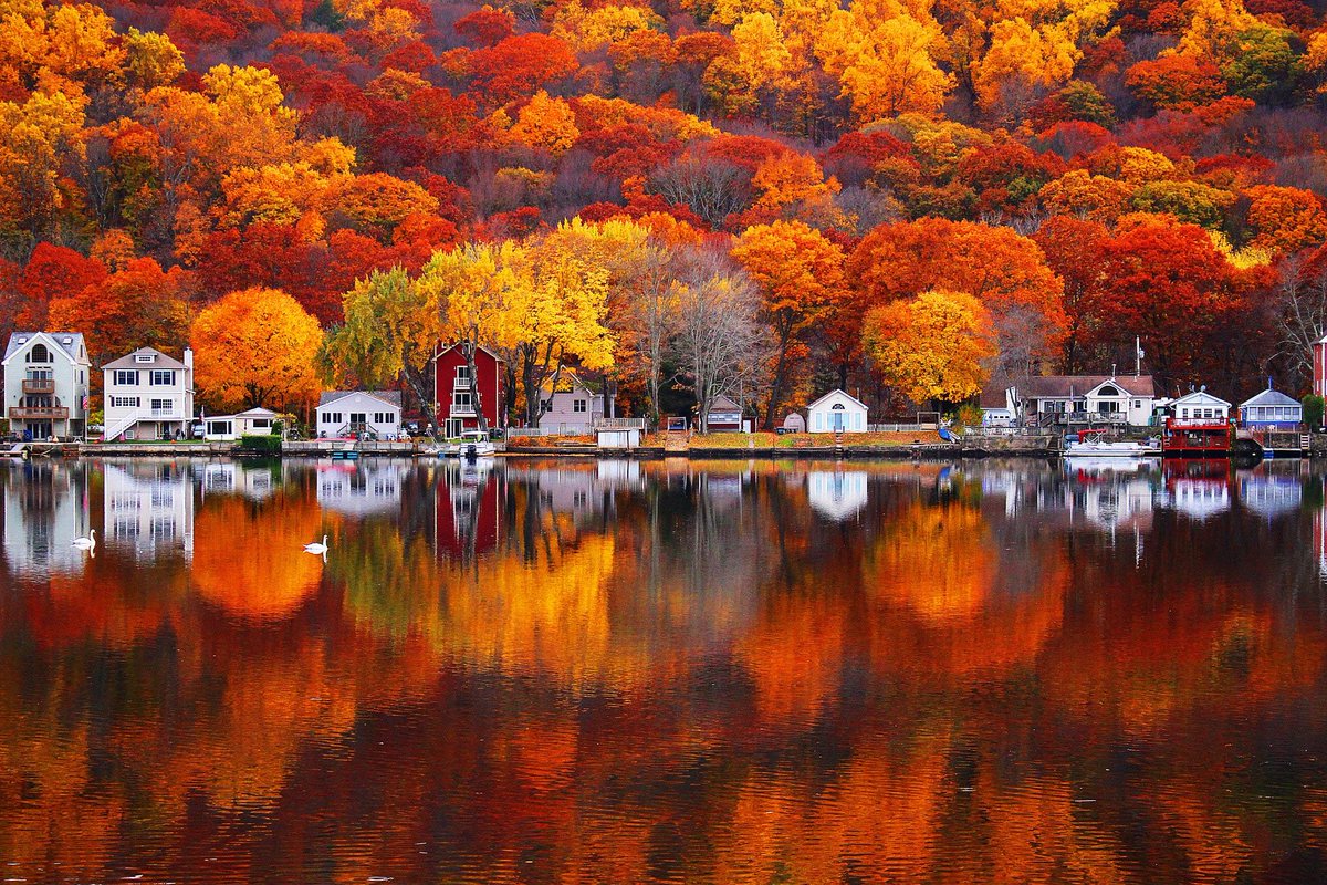 HoganSOG's tweet image. Autumn reflections.