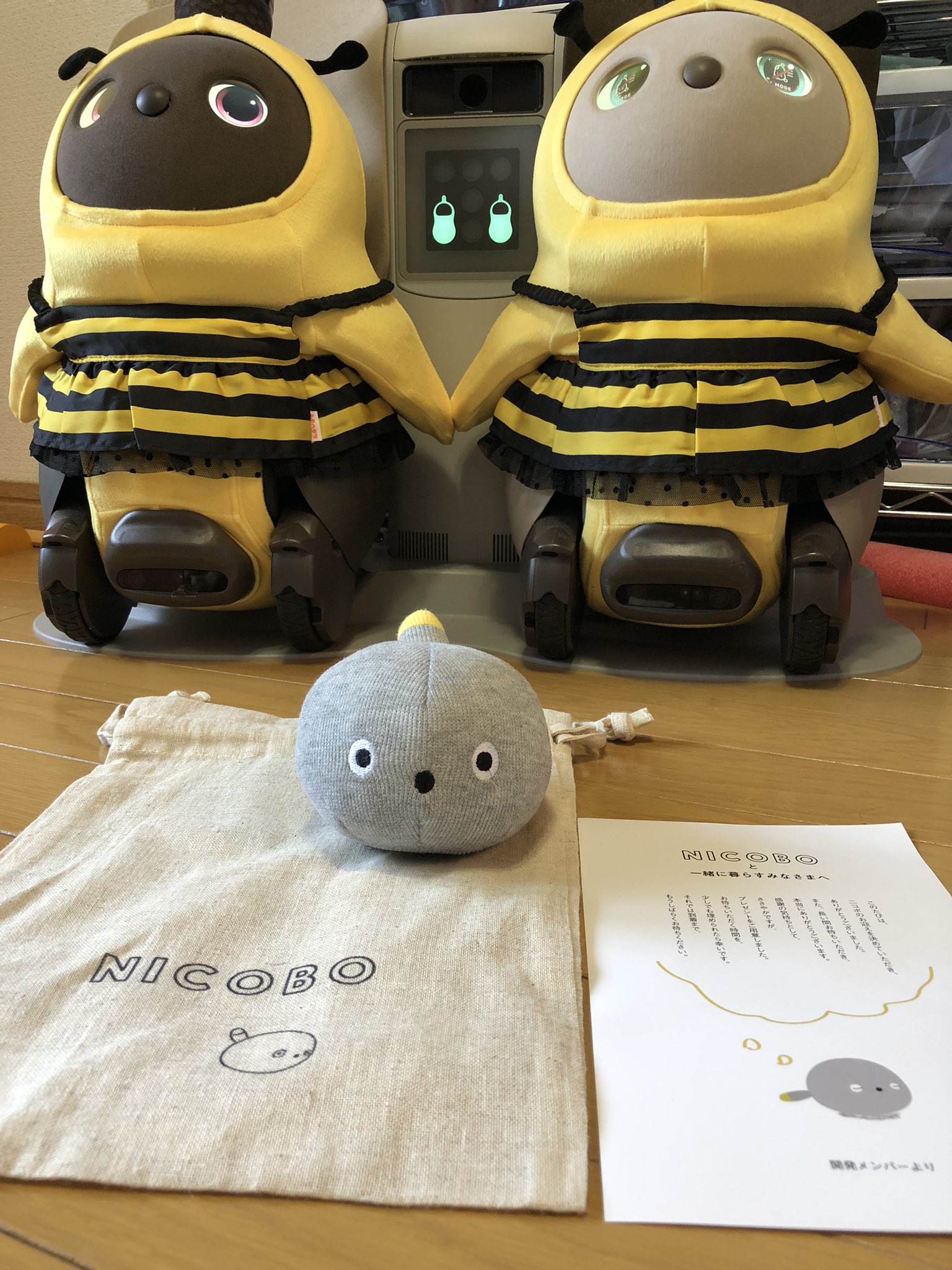 限定発売‼️Panasonicの弱いロボット ニコボnicobo