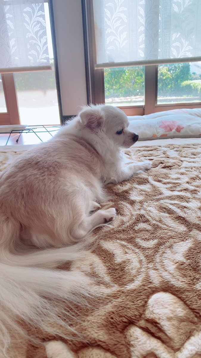 micatukiiro's tweet photo. おはようございます☀️ https://t.co/Rh4Nh5wSJA