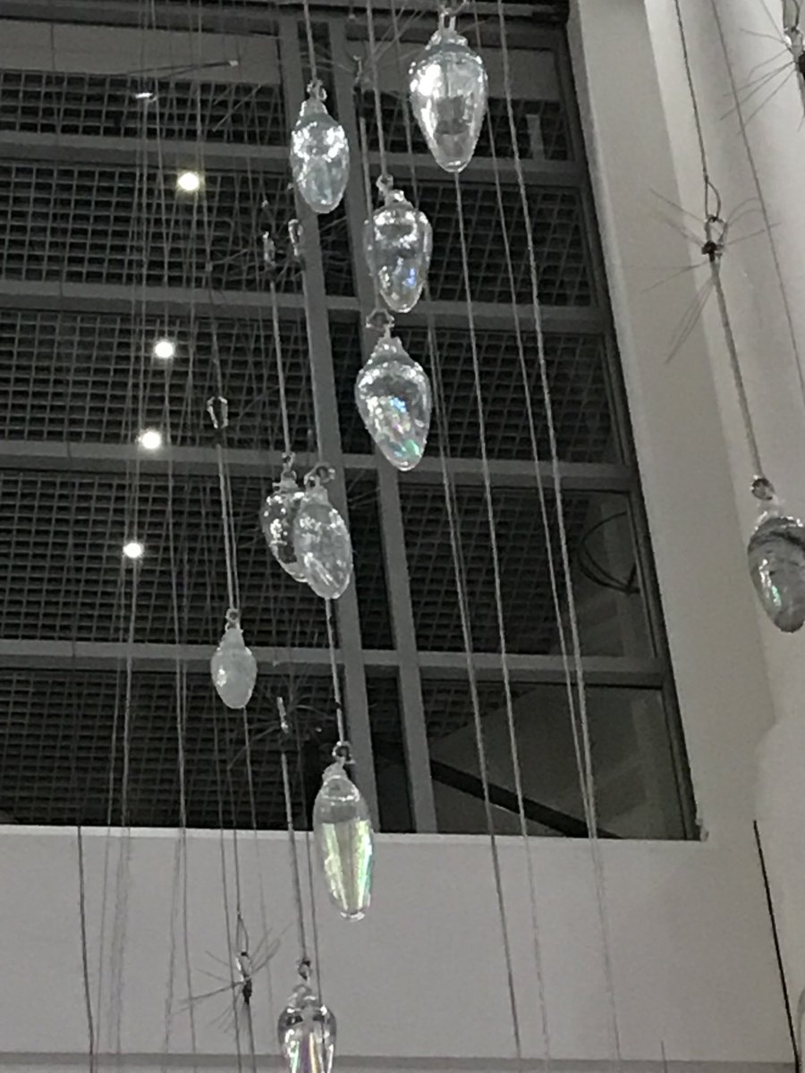HaveringChange's tweet photo. Magic is happening! The Wishes are flying!   ⁦⁦@themercurymall⁩ ⁦@nocollectiveuk⁩ ⁦@HaveringChange⁩ ⁦@Romford_BID⁩ #illusionarium2021
#romford
#romfordbid #haveringchange #nocollective https://t.co/urMgigSPss