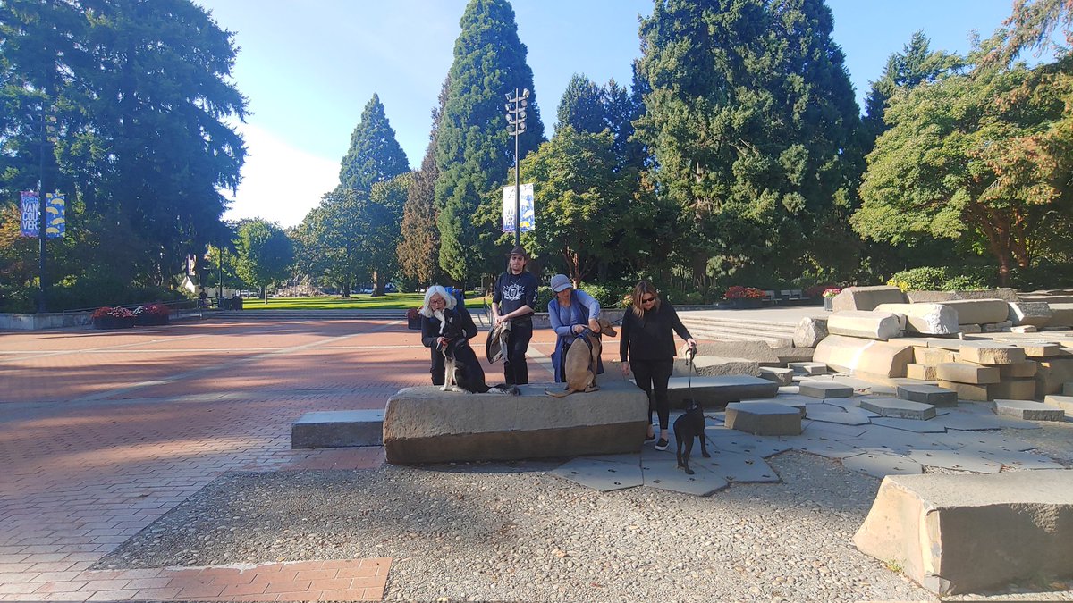 Miriam_WSW's tweet photo. A Friday afternoon walk with the workforce pups. #bestteam #TGIF https://t.co/O7JaoXrNez