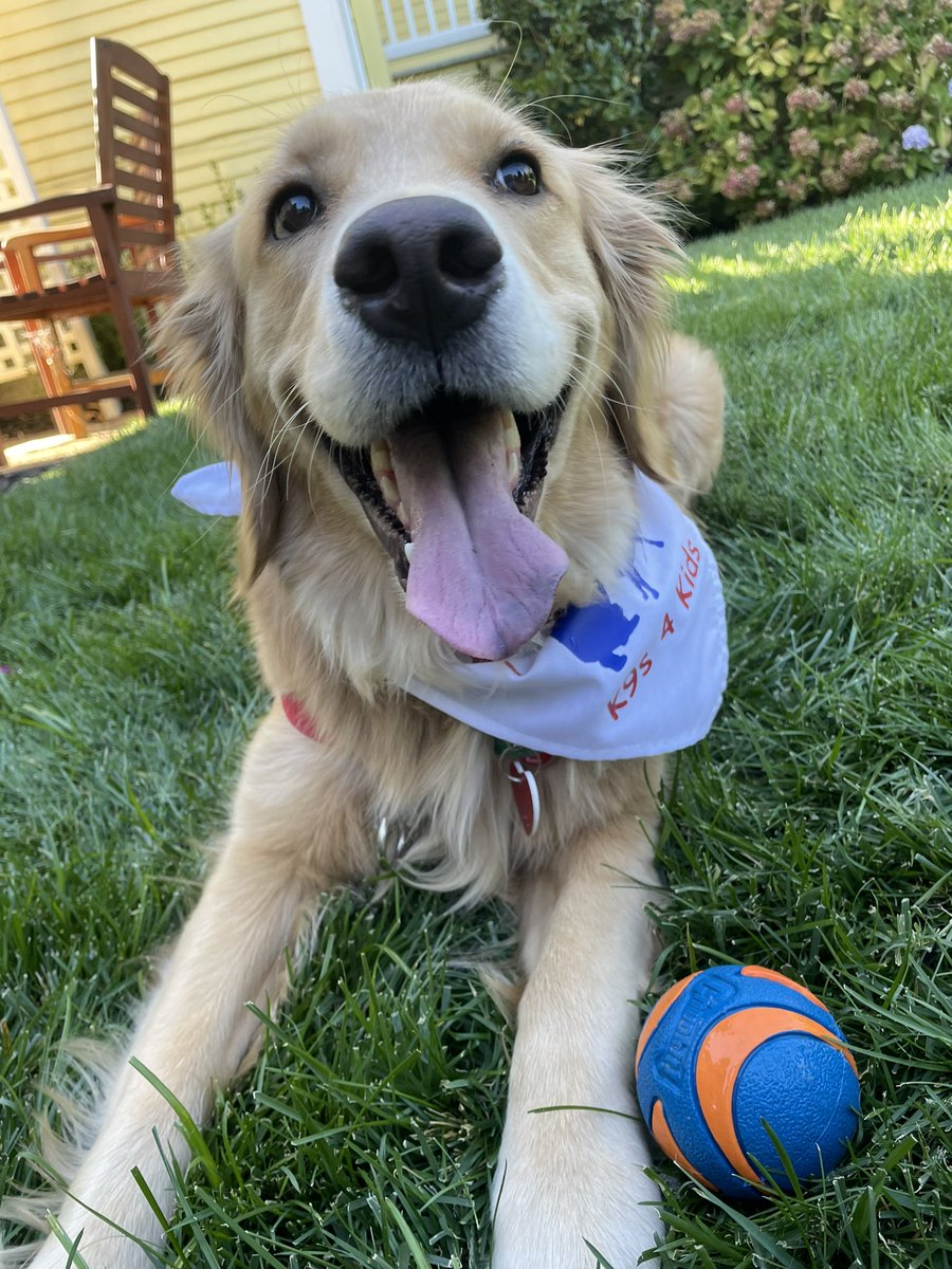 Taylorhouse202's tweet photo. Look who came to visit the girl’s at the Taylor House! Everyone was so excited to meet Kona! It was such a treat having her here, and I’m sure Kona didn’t mind all the attention either.🐾
 #ChildAdvocatesOfPlacerCounty #k9s4kids #TherapyDogs #TaylorHouse https://t.co/7Y7CXR4Pmg