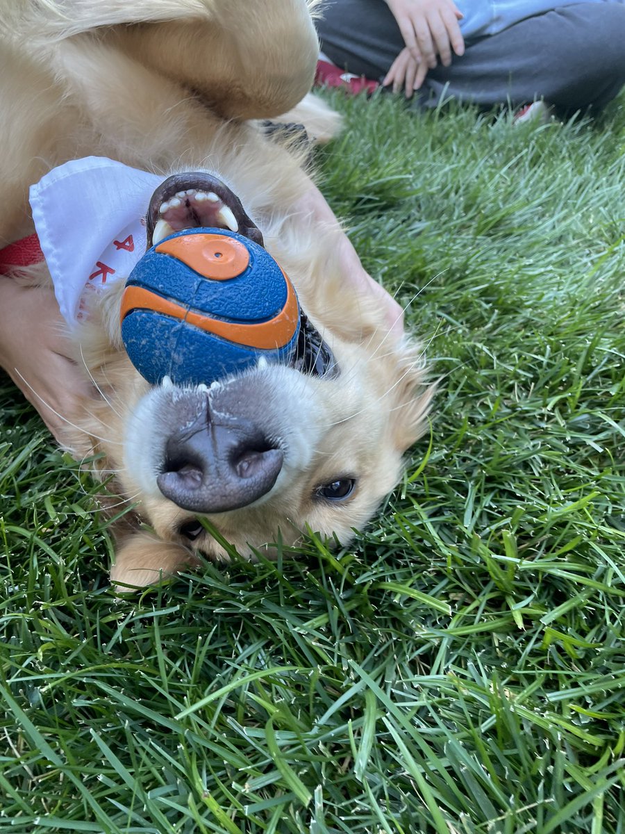 Taylorhouse202's tweet photo. Look who came to visit the girl’s at the Taylor House! Everyone was so excited to meet Kona! It was such a treat having her here, and I’m sure Kona didn’t mind all the attention either.🐾
 #ChildAdvocatesOfPlacerCounty #k9s4kids #TherapyDogs #TaylorHouse https://t.co/7Y7CXR4Pmg