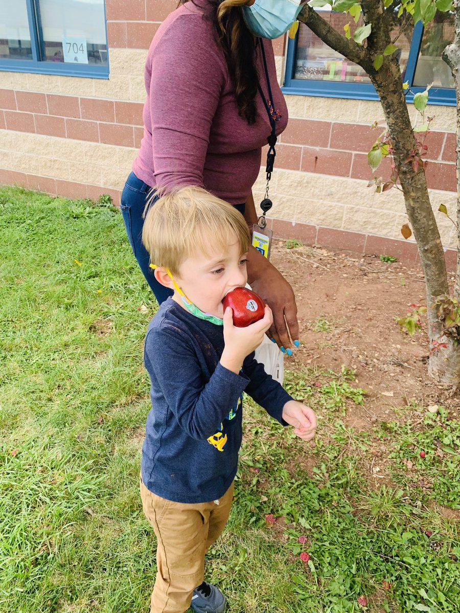 MNbtecc's tweet photo. Apple Picking!! 🍎🍏@mrpassner @NBTECC #Pascuccispatch https://t.co/hDZNIOIsyi