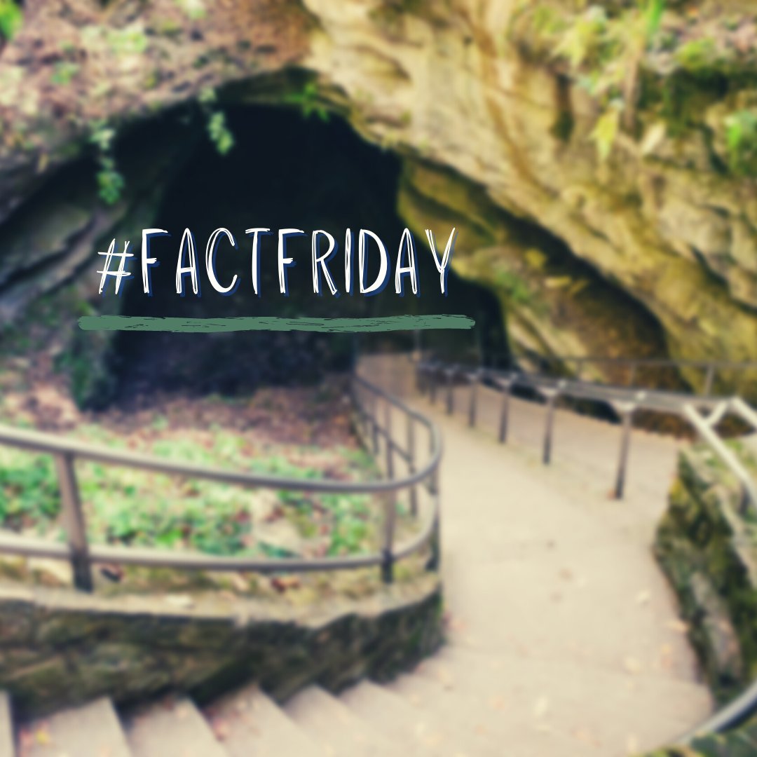 NBcabins's tweet photo. The longest cave system record in the world is Mammoth Cave in Kentucky! 

How would you like to walk that tunnel? 😱

 #kentuckylife #kentuckyfacts #funfacts https://t.co/glAMibHIk3