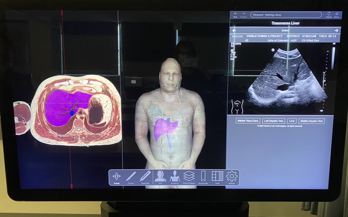 Cindi Reber-Bonhall tweet media