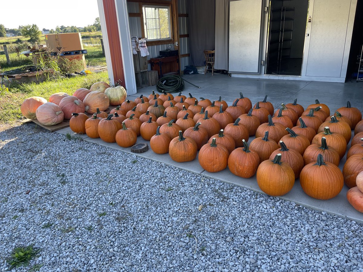 Hunt's Farm (@HuntsFarm) / Posts / X