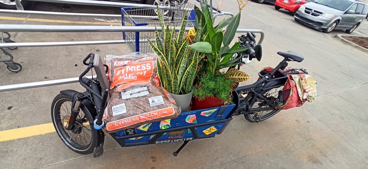 carlitecarfangs's tweet photo. Today on #WillItFit with #CargoBikeFamily. A trip to @Lowes following the daycare drop off and an optometry appt. 
2 bags of mulch, 2 pumpkins, and 3 new potted plants for our porch. 

Will it fit? 
Yes. Yes it will.

@RieseMullerNL Load 75
#BikeCentralOK
#TripChaining https://t.co/6PM7dI6Nnw