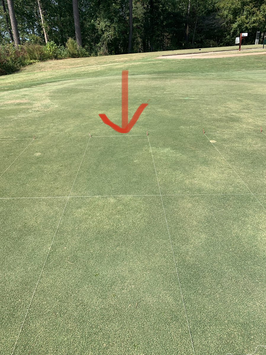 KernsJim's tweet photo. Navicon providing excellent suppression of take all root rot. Applications started mid august and were re-applied every 21 days. Tighter intervals maybe necessary for this disease… https://t.co/8KOCbjeM0e