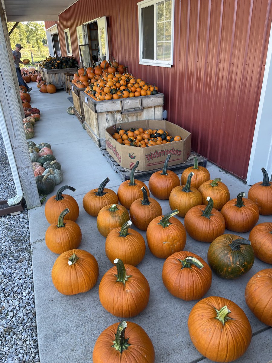 Hunt's Farm (@HuntsFarm) / Posts / X