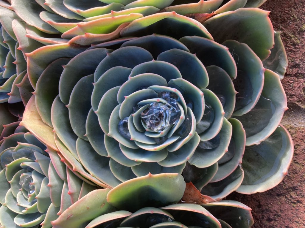 lexproof's tweet image. Word of the day:

Aesthete (n.): someone with deep sensitivity to the beauty of art or nature