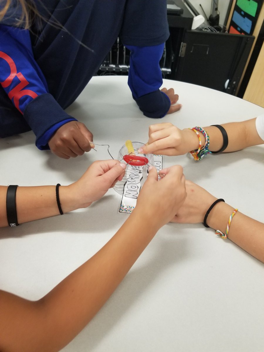 MsParkerthird's tweet photo. Fun afternoon saving Fred!  #oakviewelem #firstyearteacher https://t.co/zvdEkc0pMw