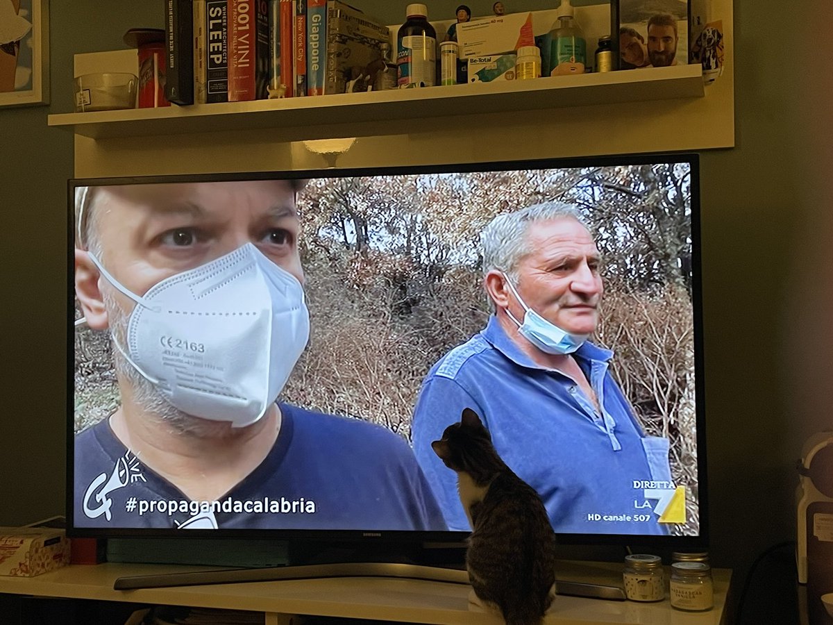 ValeBilgi's tweet photo. Anche Wanda guarda #propagandalive #propagandacalabria @welikeduel @zdizoro https://t.co/ouGE3An0GW