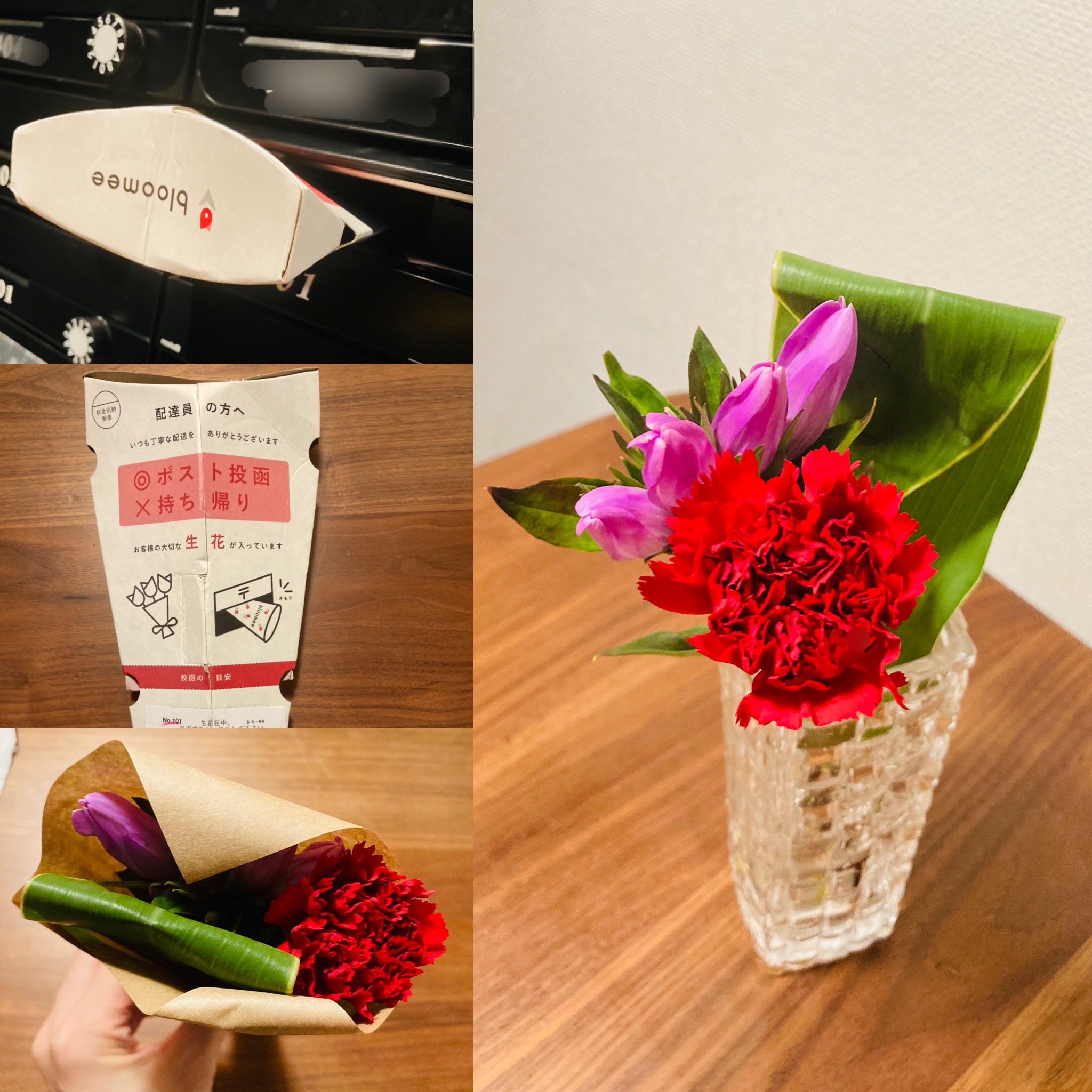 تويتر ドラミン フルタイムワーママ على تويتر お花の定期便を始めてみた 子供がどのお花を見てもひまわりかアジサイというので 色々なお花に触れる機会を作りたいな と ポスト投函で無事に届くか心配していたけど 元気なお花でした 平日時間ないし 休日も