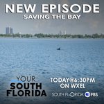 Image for the Tweet beginning: NEW @YourSouthFL episode #SavingtheBay today