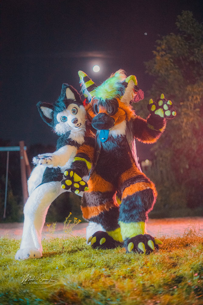 Furmeet Dortmund Dortmundfurmeet Twitter
