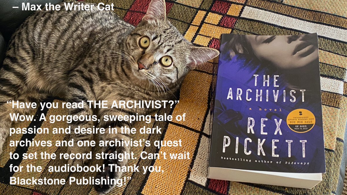 MaxTheWriterCat tweet media