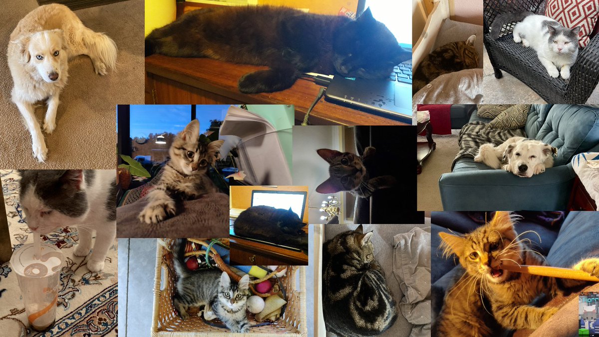 ChoppedGuild's tweet image. 😴Wake me up when September ends...

🙇‍♂️This month:
@j0rnl33flang &amp;amp; @Kristina12114 got the .85 trigger!
@crtical3 hit 100k SkyWars kills!
@ilxrrrr hit 10k Duels wins!
@theSnipingSnow hit 10k Quake wins!

🥳Also wishing a happy birthday to:
@ignsnowyum &amp;amp; @barkitscass 

#ChopOnTop🔪