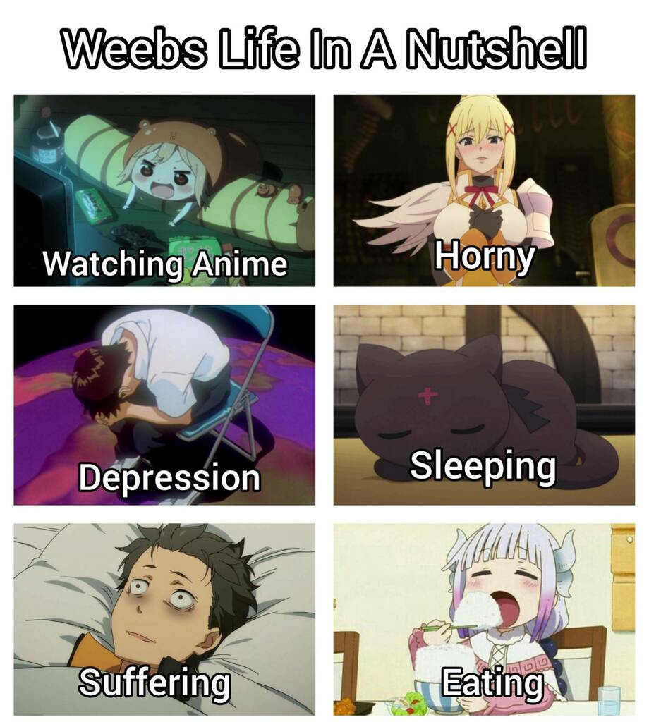 Anime Memes - Latest posts and media in Anime Memes - Memes