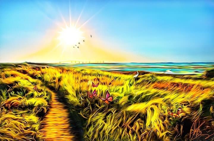YandaahPanda's tweet photo. Happy Friday everyone!! Are you ready to spend the weekend at the beach? @imaginehow2see #doyouseewhatisee #huntingtonbeach #sunnyday #outdoor #FridayVibes #oceanlife #hugnature #butterfly #seagulls #oceanbreez #beautiful #colorful #NaturePhotography https://t.co/maxTEAoQYr