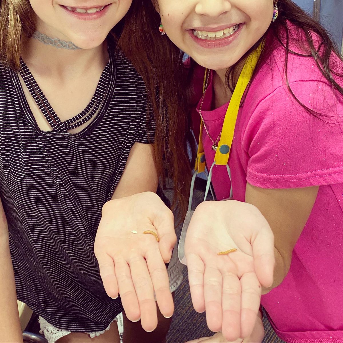 caribbeanin4th's tweet photo. Meal worm 🐛 fun today in science! Some weren’t so sure😬 about our new table friends & others were extremely excited😊! But everyone left loving💗& over the moon🌔about the observations we will be making!! #CorHamFam #missionpossibleaultsystemsago @AultElem @CFISDScience https://t.co/WImXxh7JvW