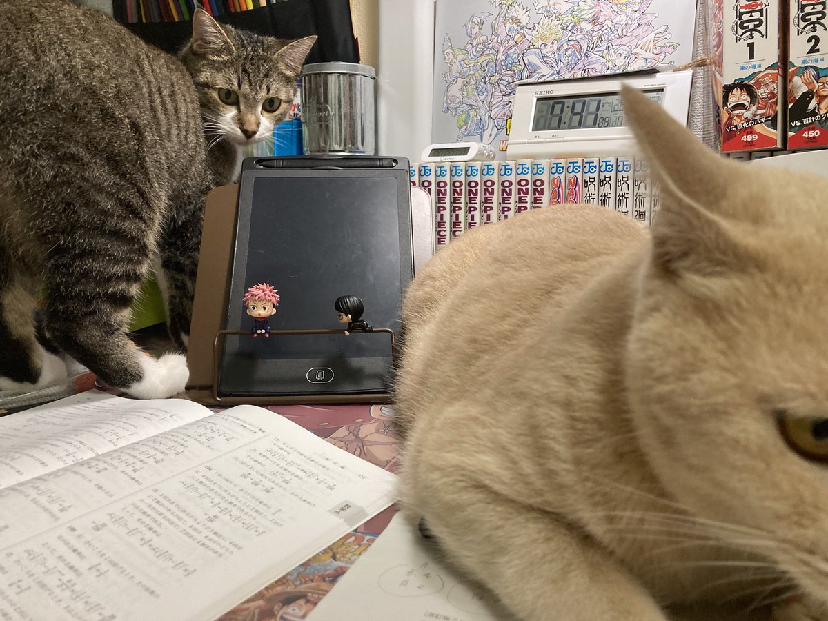 ちょっとのいてもらっても構わないかい？笑