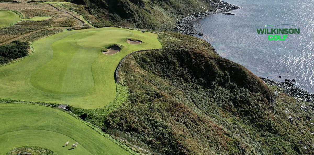 Wilkinson Golf tweet media