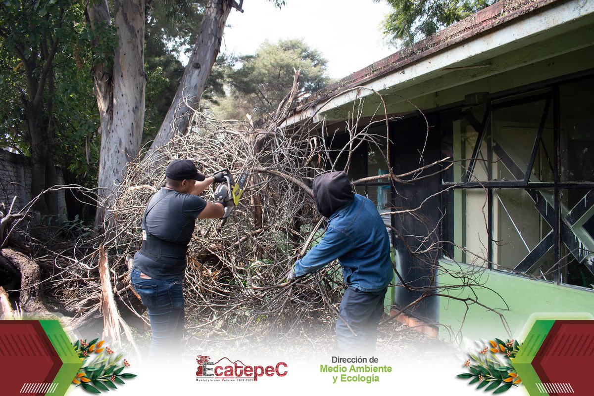 Dirección de Medio Ambiente y Ecología Ecatepec tweet media