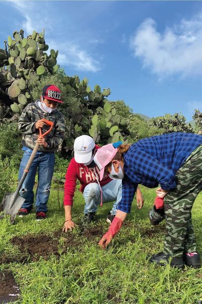 Dirección de Medio Ambiente y Ecología Ecatepec tweet media