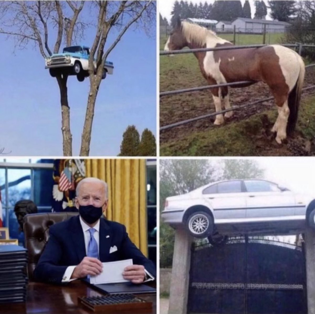 Mr. Anderson tweet media