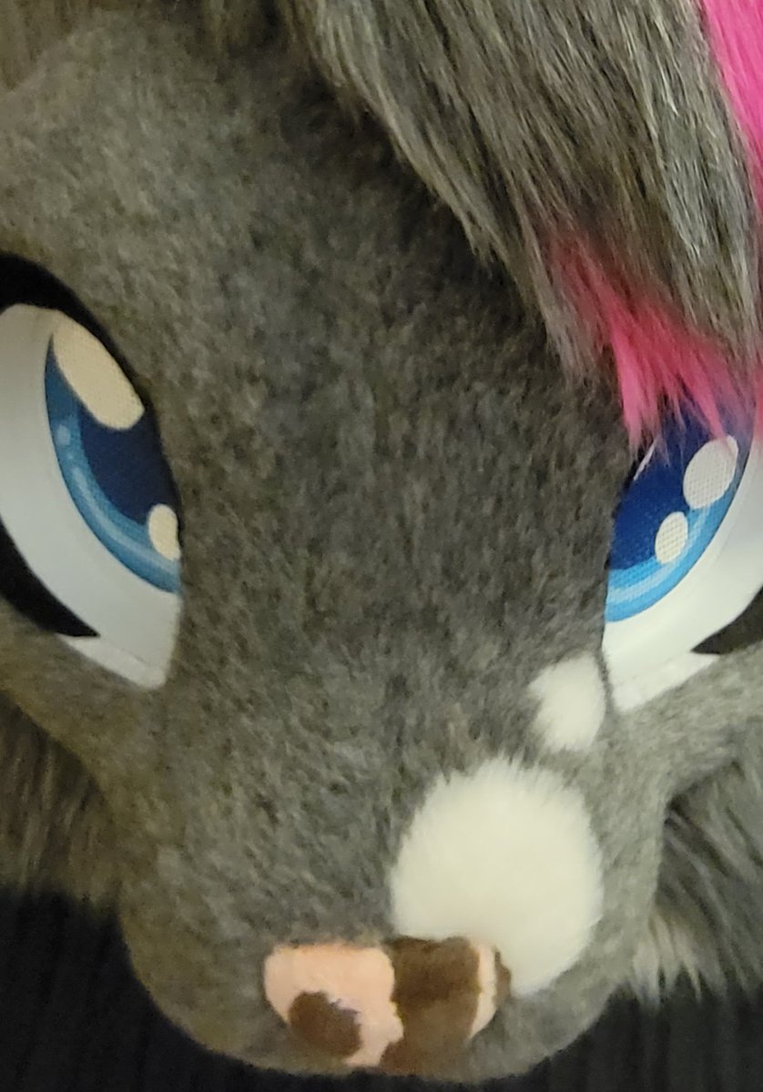 So any furries in sioux falls SD? Im gonna be here this weekend and brought my fursuit cause I thought I might get bored lmao.