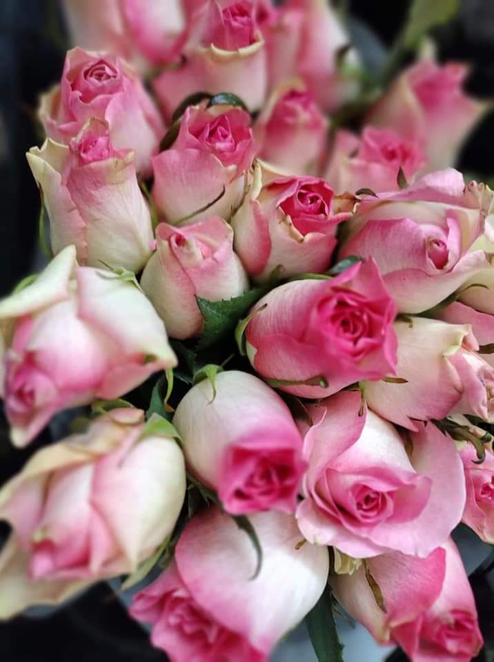 Silvia (@silnreginaa) on Twitter photo <a href="/halconavicencio/">🌹❤️ELENA MIRANDA V.❤️🌹#E̲l̲e̲M̲i̲r̲a̲n̲d̲a̲</a> <a href="/slhyzc/">Salih</a> <a href="/MariFa05/">🌻🌷Mariana Fabiola🌷🌻</a> <a href="/Deslegal1/">🌻🌷Fabiola🌷🌻</a> <a href="/Elmaslegal/">Juan Pérez</a> <a href="/AngeloPoni/">Angelo Poni Fernandez</a> <a href="/EA_LM1978/">🌝Lagos🌝</a> <a href="/ilegalilegal1/">@ilegal_ilegal</a> <a href="/HalconaUFF/">♥️Elena Amelia M ♥️#𝔻𝕖𝕁𝕒𝕡𝕠𝕟𝔸𝕣𝕚𝕘𝕒𝕥𝕠🌸</a> <a href="/cagalafiesta/">@Cagalafiesta 🎧🎧🎧</a> <a href="/MarinaEle23/">❣️Marina Elena V.❣️#𝔻𝕖𝕁𝕒𝕡𝕠𝕟𝔸𝕣𝕚𝕘𝕒𝕥𝕠🌸</a> <a href="/legal_legal69/">Juan Perez 🧰🧰🔧🔧🪒🪒</a> <a href="/AlfonsinNilda/">nilda alfonsin 🇦🇷</a> <a href="/PriscaBrusau/">♦️Bárbara Brusau♦️#AmigosLeais♦️</a> <a href="/malaCATosa1/">Malacatosa</a> <a href="/EdgarLagos13/">Edgar Lagos</a> @Alberto82062207 <a href="/SunstoneMassage/">Sunstone Registered Massage Clinic 647-233-2569🍁</a> Obrigada querida Elena!
Um abençoado final de semana para vc linda!
Boa noite!🌻🌹♥️😘 <a href="/halconavicencio/">🌹❤️ELENA MIRANDA V.❤️🌹#E̲l̲e̲M̲i̲r̲a̲n̲d̲a̲</a> <a href="/slhyzc/">Salih</a> <a href="/MariFa05/">🌻🌷Mariana Fabiola🌷🌻</a> <a href="/Deslegal1/">🌻🌷Fabiola🌷🌻</a> <a href="/Elmaslegal/">Juan Pérez</a> <a href="/AngeloPoni/">Angelo Poni Fernandez</a> <a href="/EA_LM1978/">🌝Lagos🌝</a> <a href="/ilegalilegal1/">@ilegal_ilegal</a> <a href="/HalconaUFF/">♥️Elena Amelia M ♥️#𝔻𝕖𝕁𝕒𝕡𝕠𝕟𝔸𝕣𝕚𝕘𝕒𝕥𝕠🌸</a> <a href="/cagalafiesta/">@Cagalafiesta 🎧🎧🎧</a> <a href="/MarinaEle23/">❣️Marina Elena V.❣️#𝔻𝕖𝕁𝕒𝕡𝕠𝕟𝔸𝕣𝕚𝕘𝕒𝕥𝕠🌸</a> <a href="/legal_legal69/">Juan Perez 🧰🧰🔧🔧🪒🪒</a> <a href="/AlfonsinNilda/">nilda alfonsin 🇦🇷</a> <a href="/PriscaBrusau/">♦️Bárbara Brusau♦️#AmigosLeais♦️</a> <a href="/malaCATosa1/">Malacatosa</a> <a href="/EdgarLagos13/">Edgar Lagos</a> @Alberto82062207 <a href="/SunstoneMassage/">Sunstone Registered Massage Clinic 647-233-2569🍁</a> Obrigada querida Elena!
Um abençoado final de semana para vc linda!
Boa noite!🌻🌹♥️😘